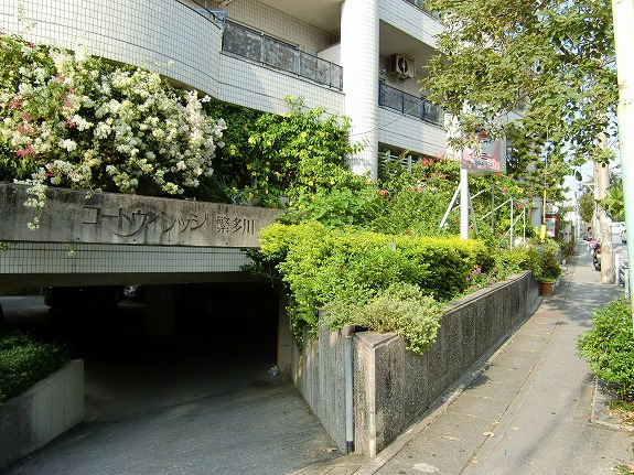 ｺｰﾄｳﾞｨﾚｯｼﾞ繁多川_画像2